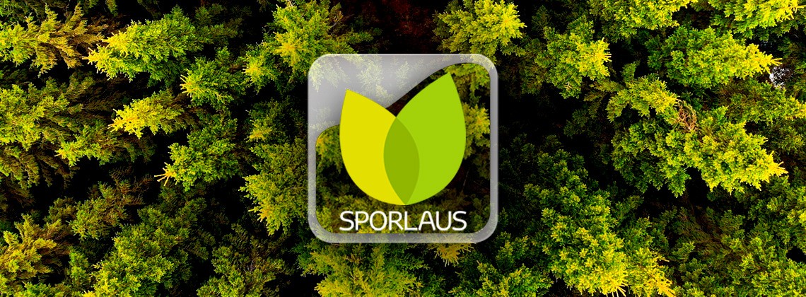 SPORLAUS Á NÝJUM HYBRID